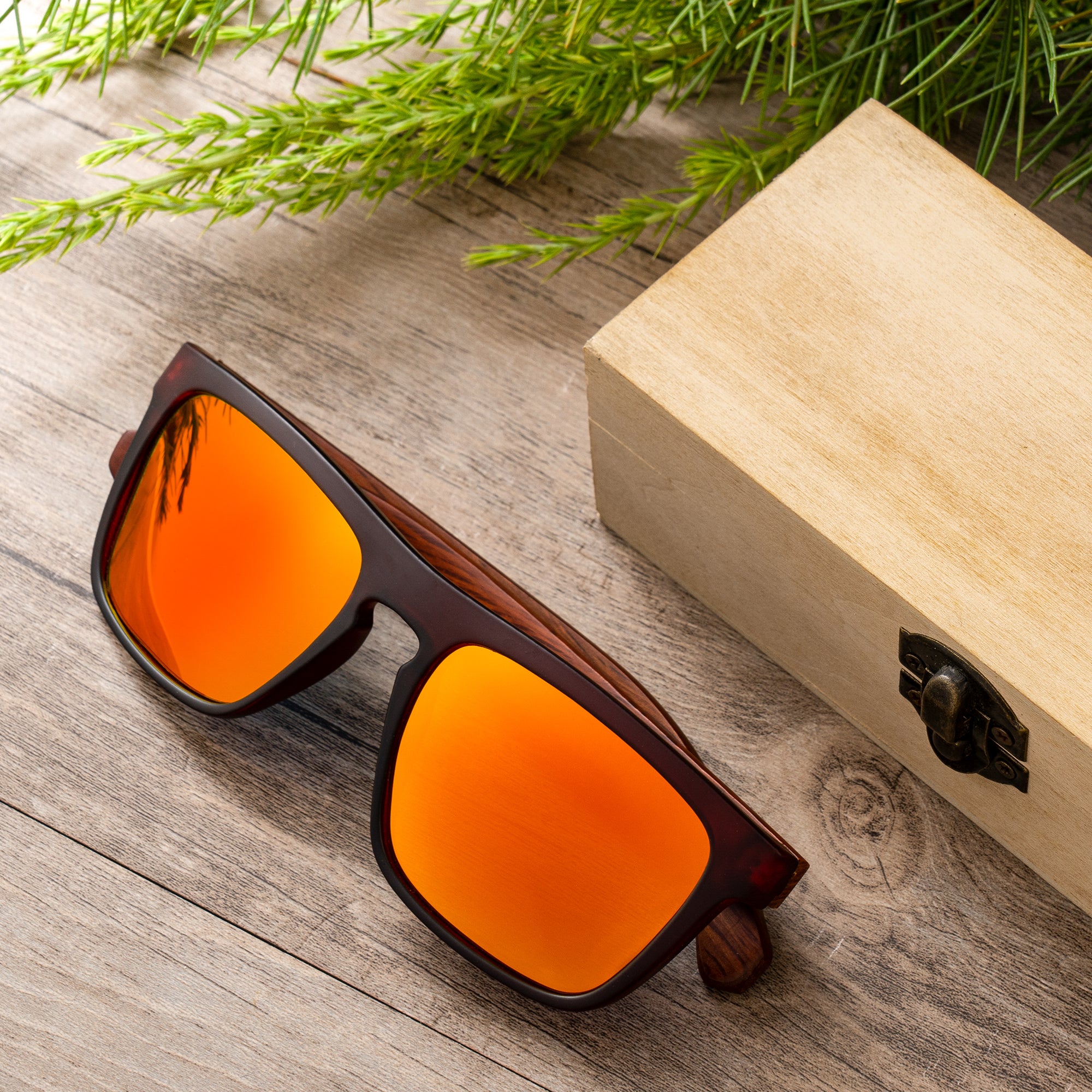 Forest Wayfarers