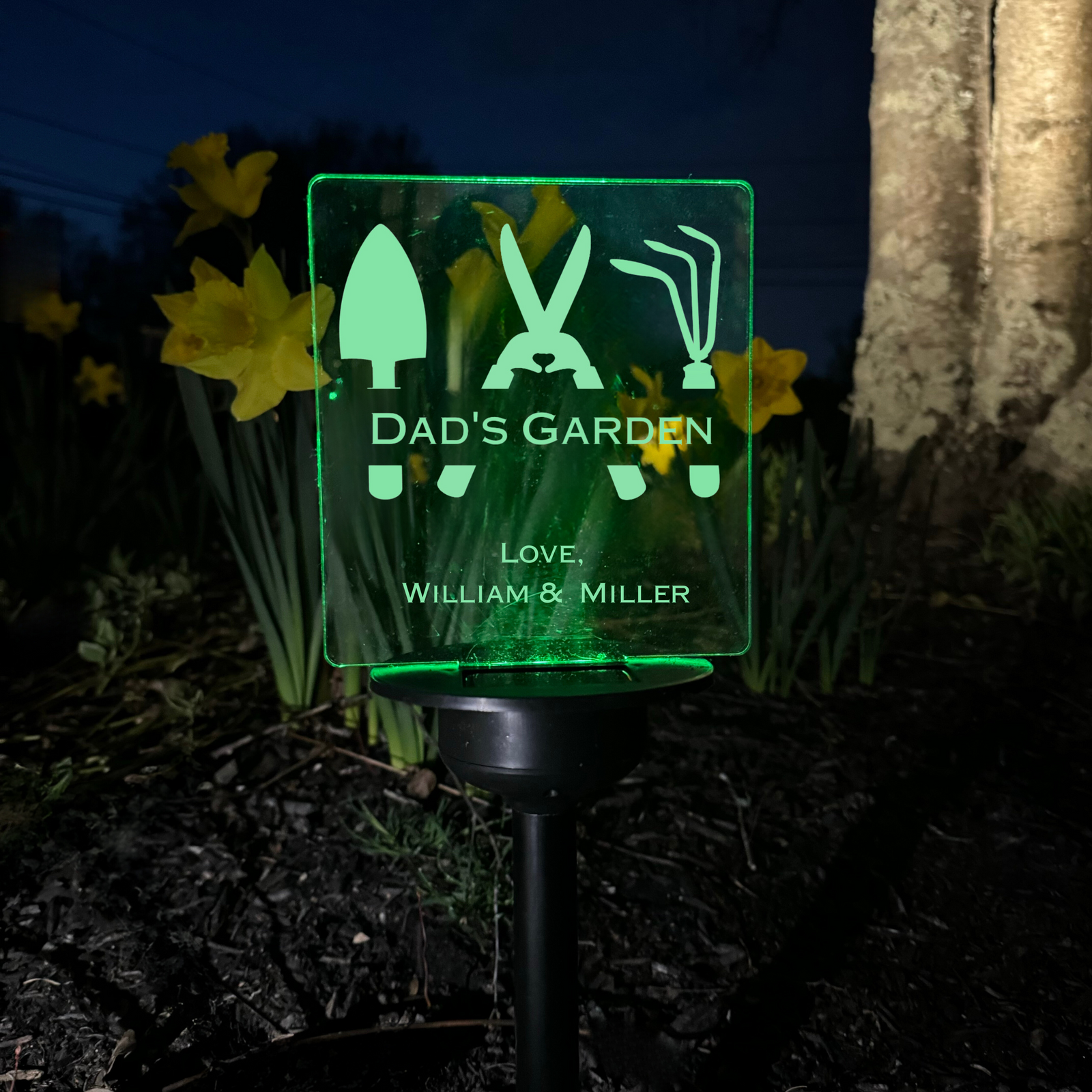 Garden Glow Father's Gift