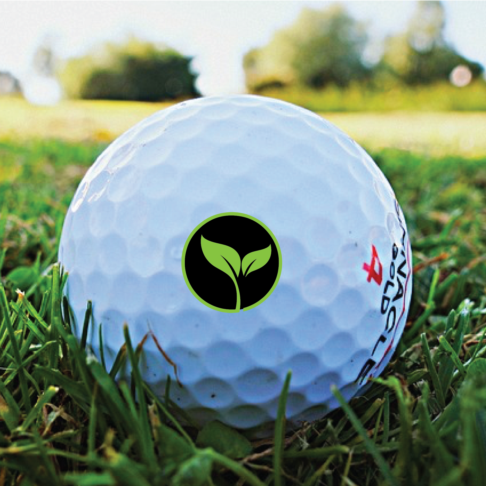 ⛳ Custom Logo Golf Balls - Your Brand, Your Game! ⛳