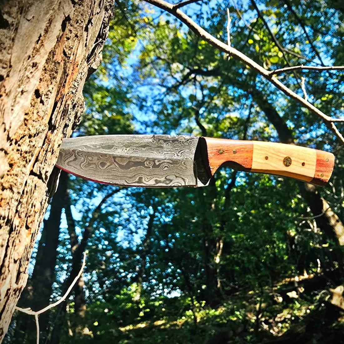 Outdoor Blade