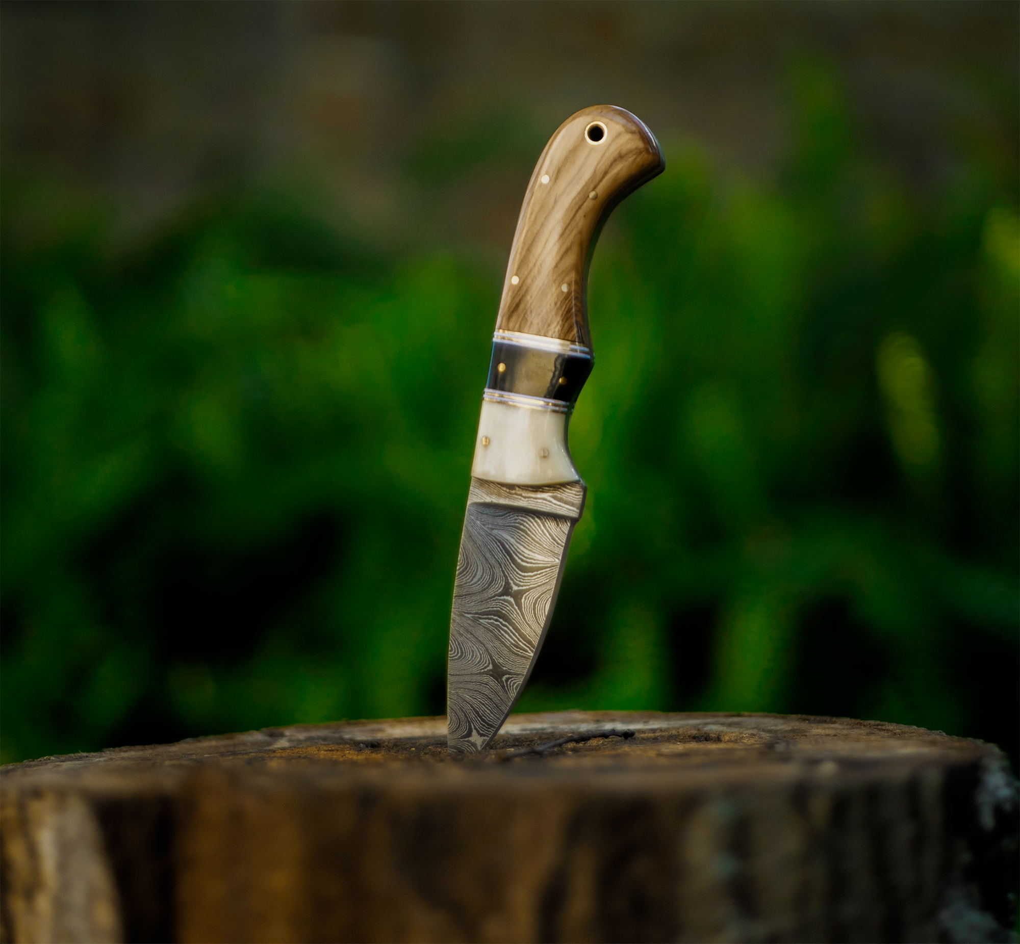 Olive Wood And Bone Skinner