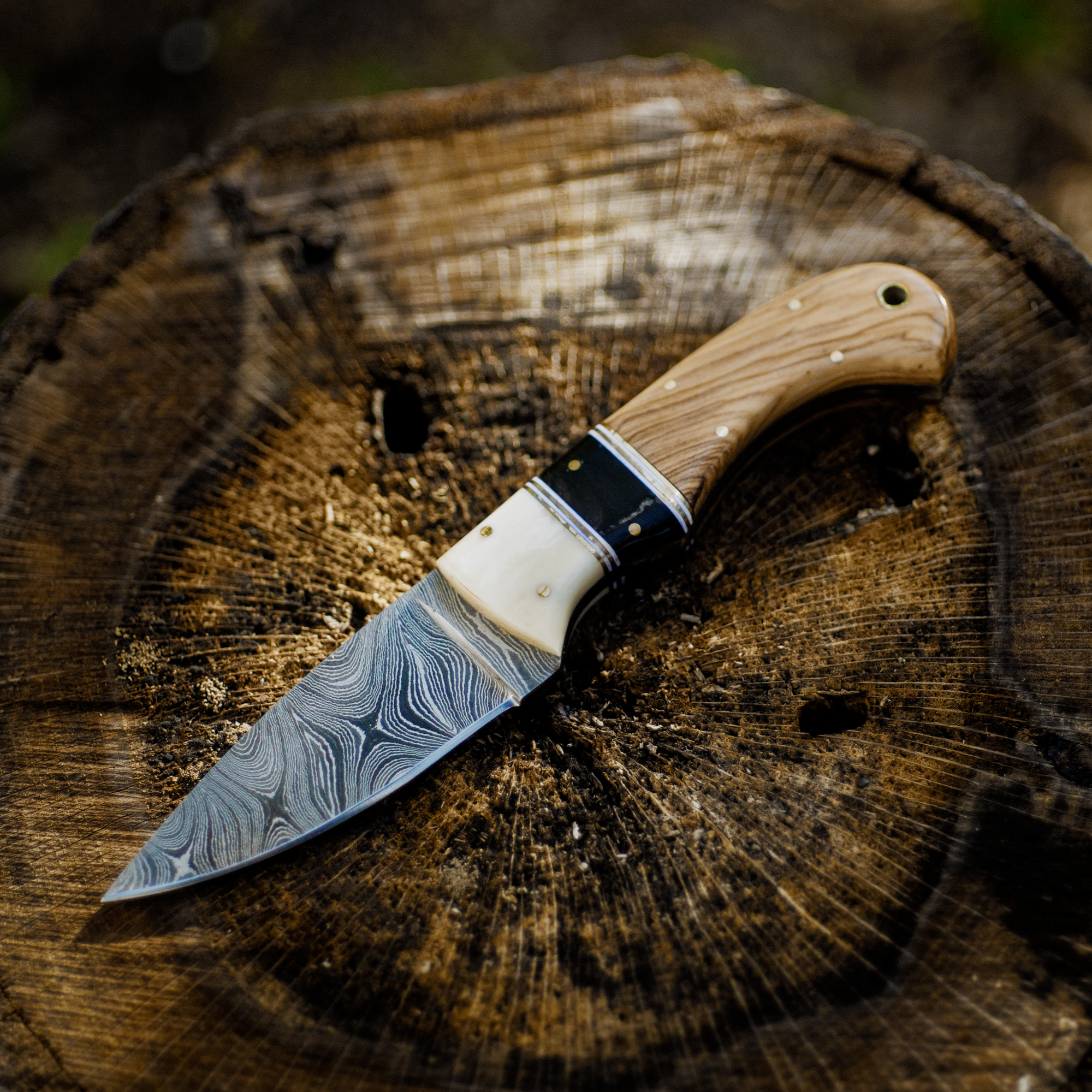 Olive Wood And Bone Skinner Knife