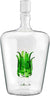 Tequila Decanter