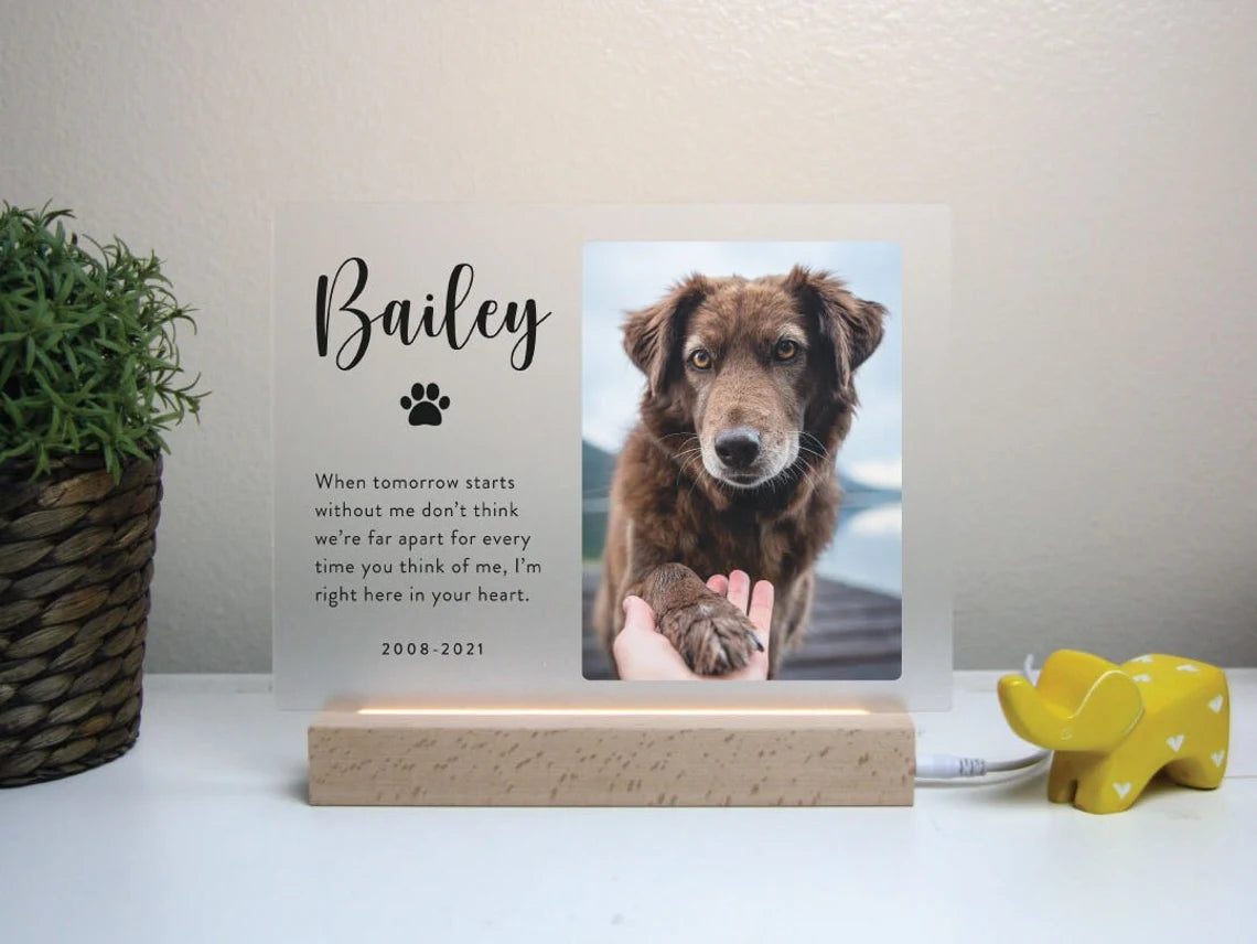 Pet memorial keepsakes fashion