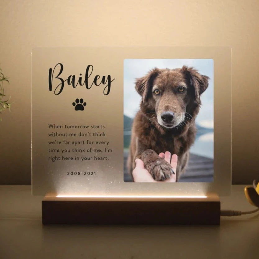 Custom Pet Memorial Stone Frame - Personalized Dog Loss Gifts Rainbow  Bridge, Customized Rock Slate Picture Frame Plaque with Photo Text for Dog  Cat