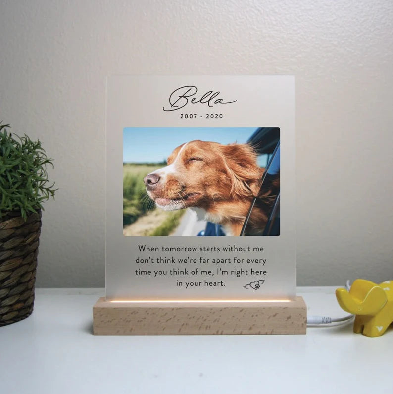 Custom Pet Memorial Plaque