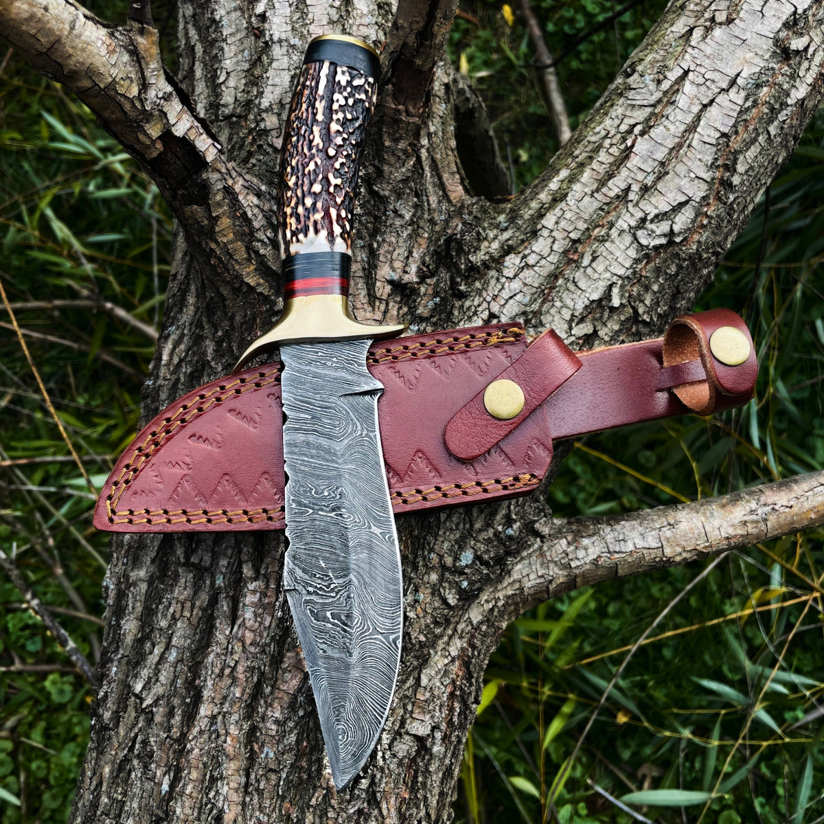 Stag Horn Hunting Damascus Knife